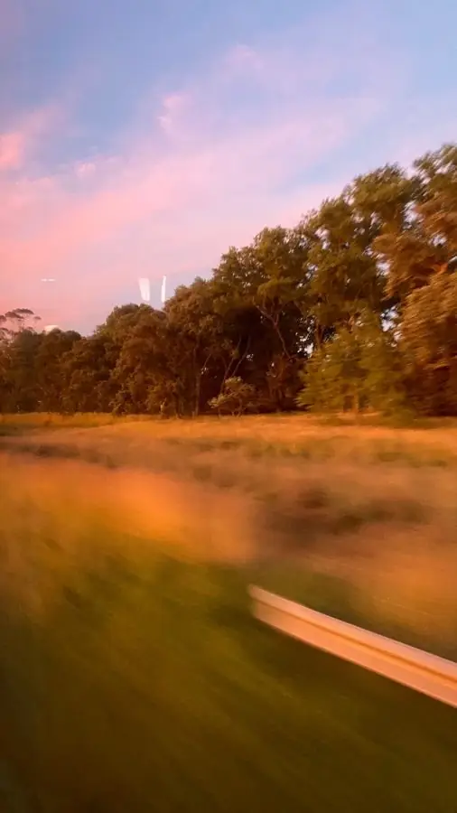 Paisaje al atardecer visto desde un auto en movimiento, con el pasto barrido por la velocidad
