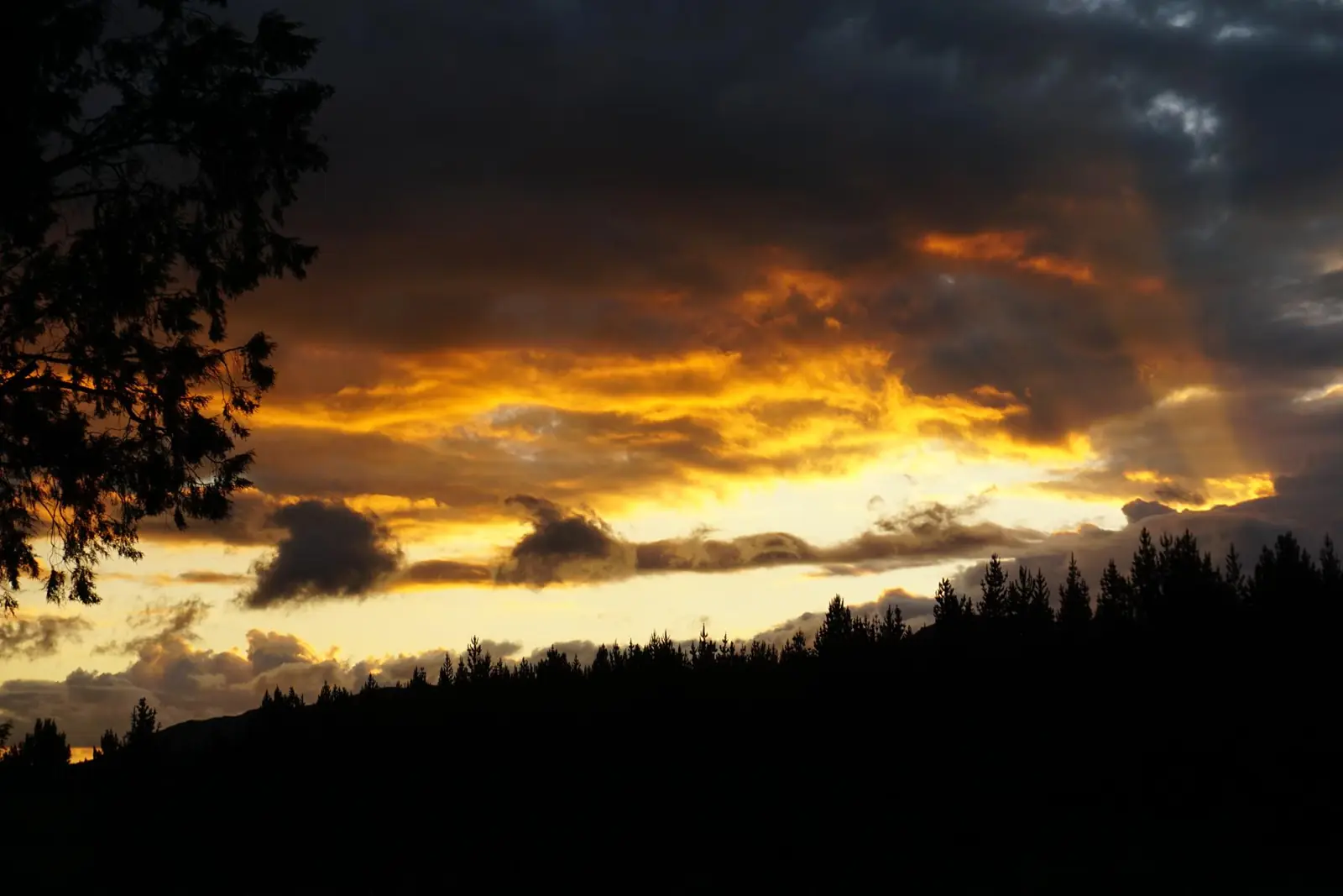 Atardecer naranja detrás de un bosque en silueta: imagen asociada a duelos, pérdidas y separaciones